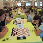 DSC00390 (Копировать)